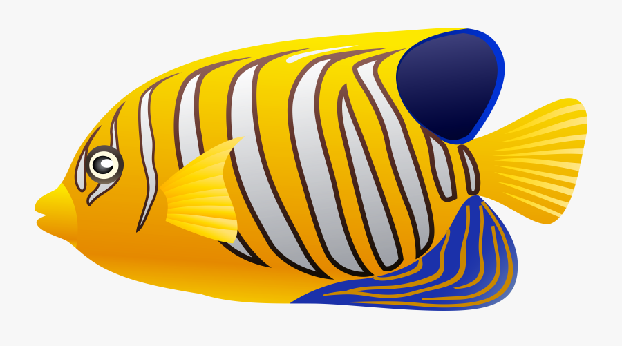 Yellow Fish Png Clip Art, Transparent Clipart