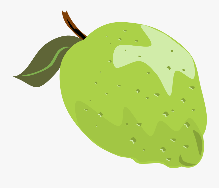 Plant,leaf,apple - Guava Clipart Png, Transparent Clipart