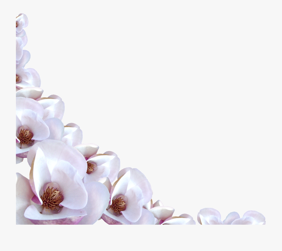 Real Flower Border Transparent, Transparent Clipart