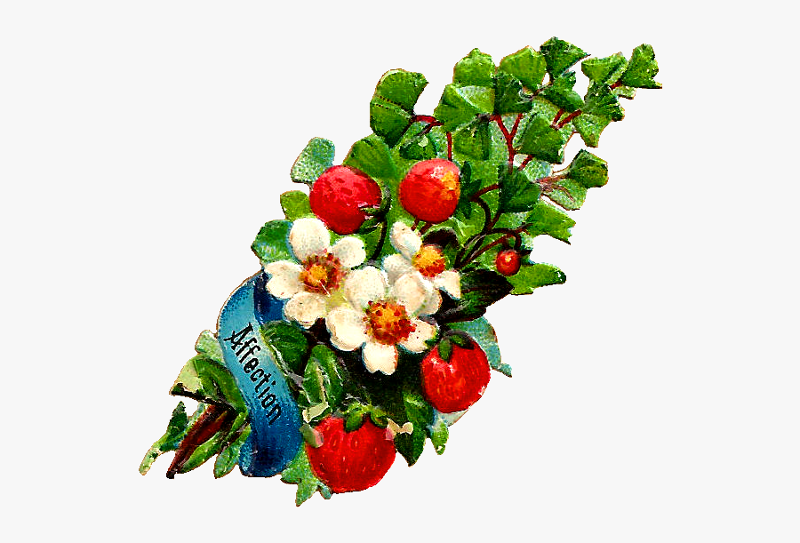 Free Flower Clip Art - Strawberry Vintage Png, Transparent Clipart