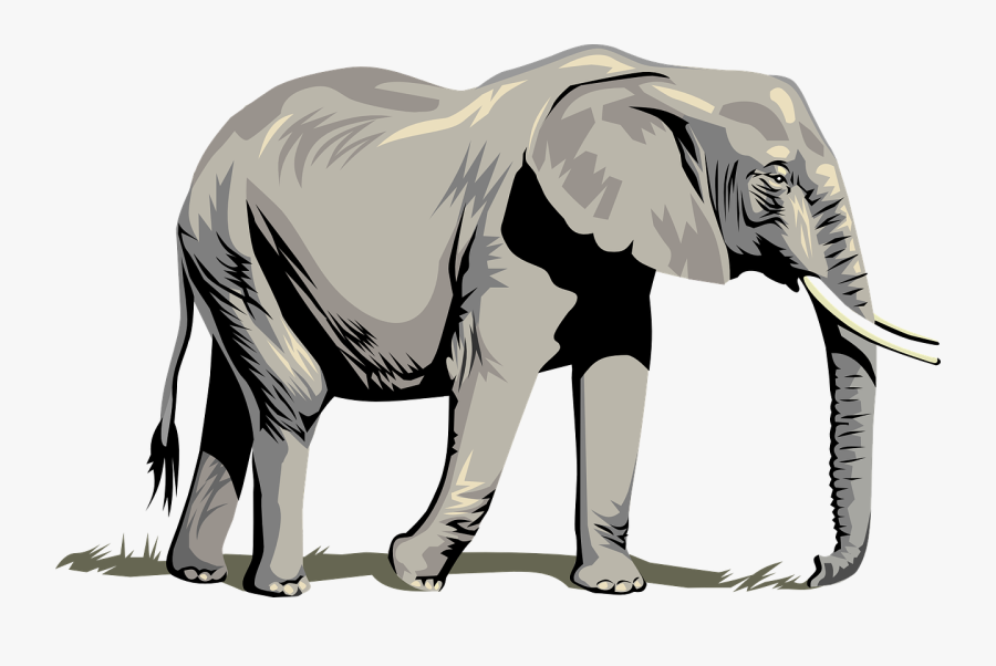 Elephant Clipart Png For Web - Elephant Vector, Transparent Clipart