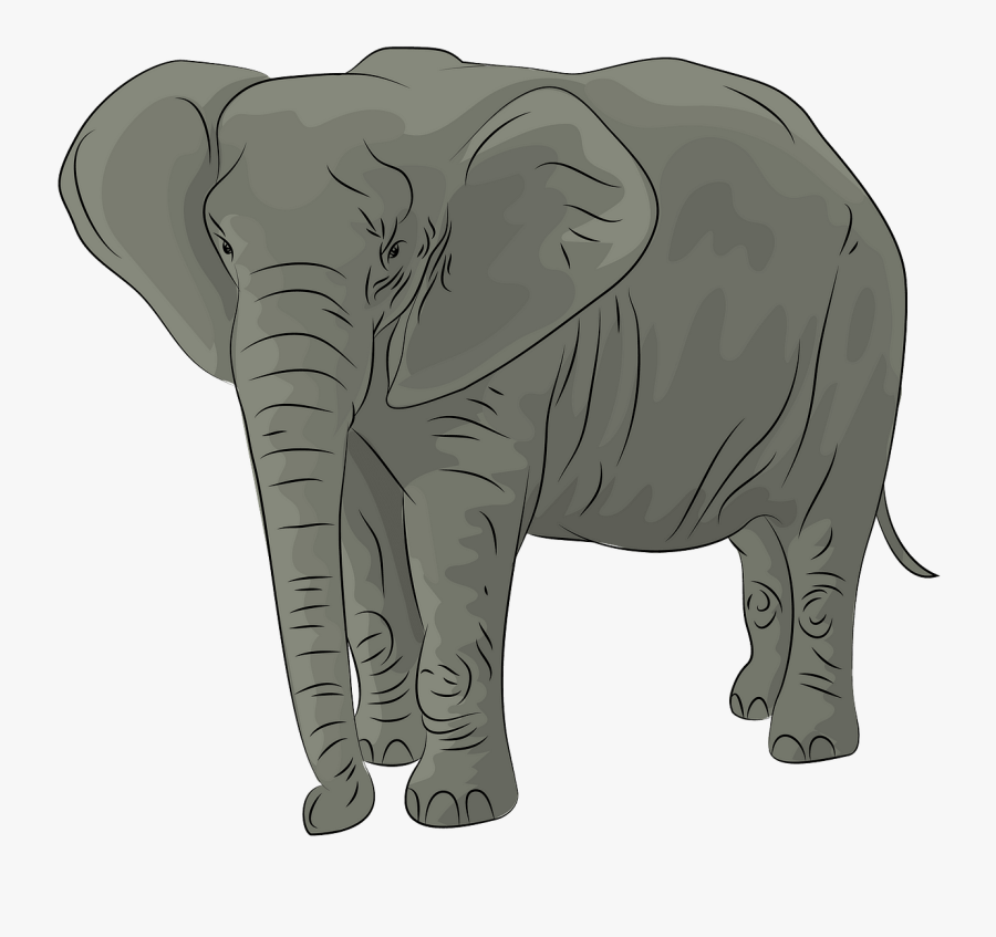 Elephant Clipart, Transparent Clipart