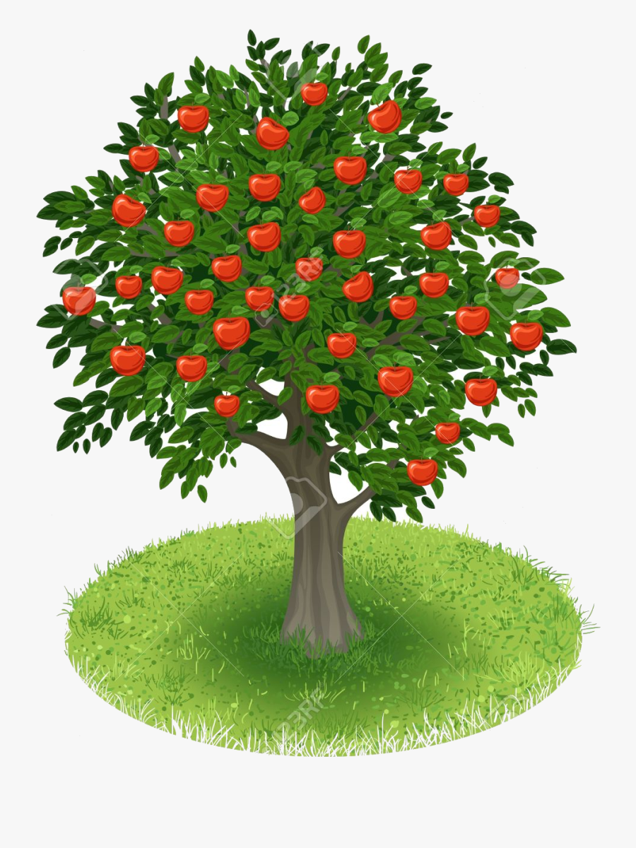 Apple Tree Clipart Transparent Png - Summer Tree Clip Art, Transparent Clipart