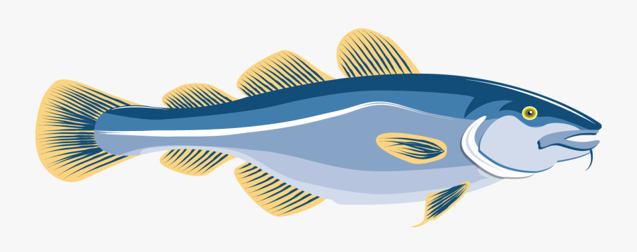 Cod Fish Clipart At Getdrawings, Transparent Clipart