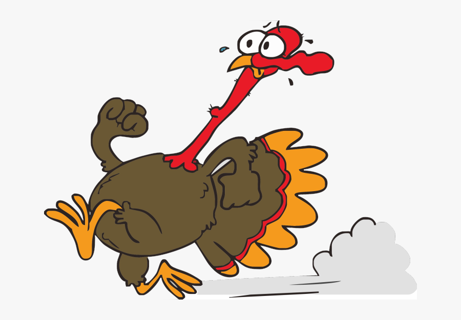 Transparent Funny Turkey Png - Running Turkey Cartoon, Transparent Clipart