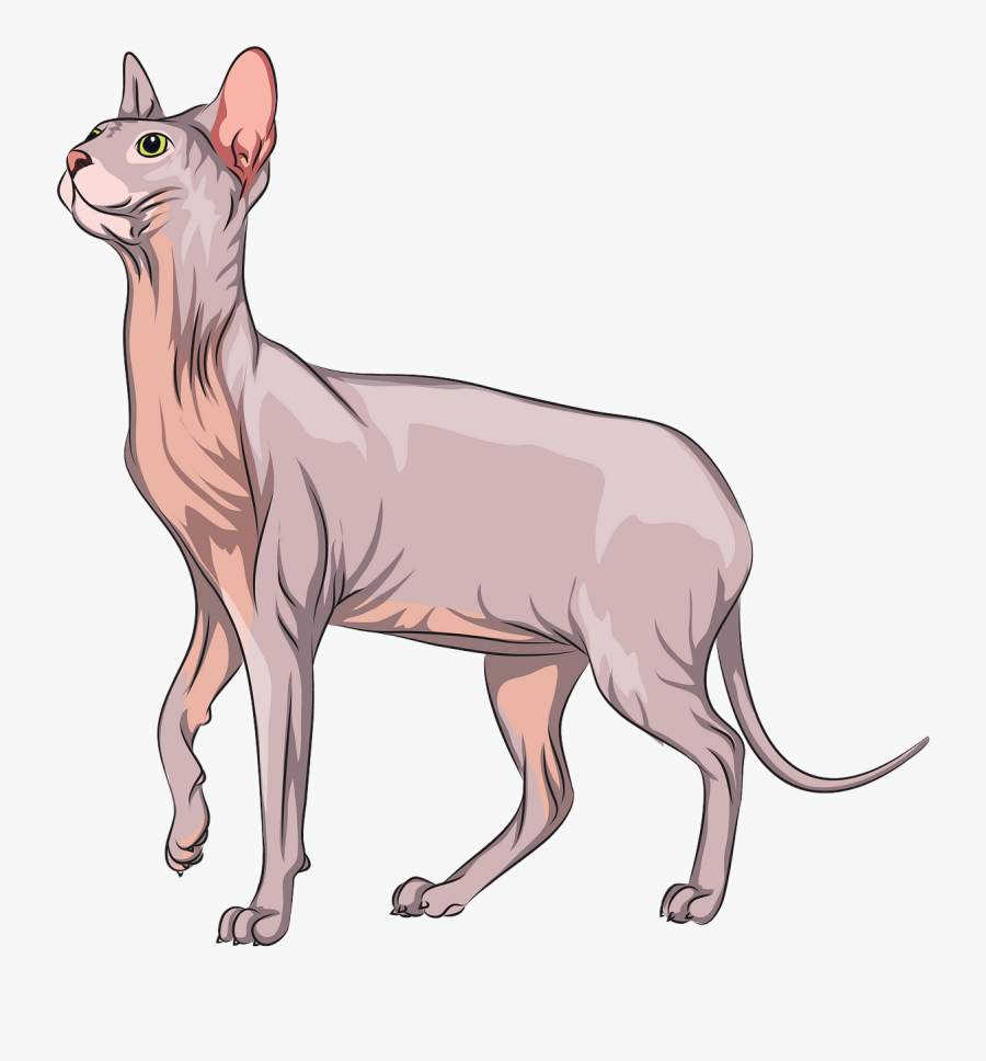 Donskoy, Transparent Clipart