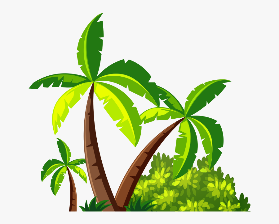 Coconut Tree Png - Illustration, Transparent Clipart