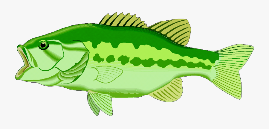 Lake Fish Clipart, Explore Pictures - Clipart Bass, Transparent Clipart