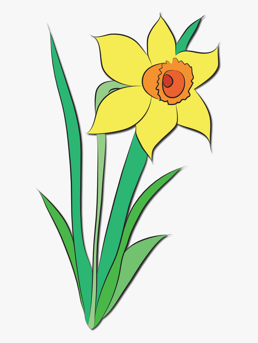 Daffodil Flower Clip Art , Free Transparent Clipart - ClipartKey.