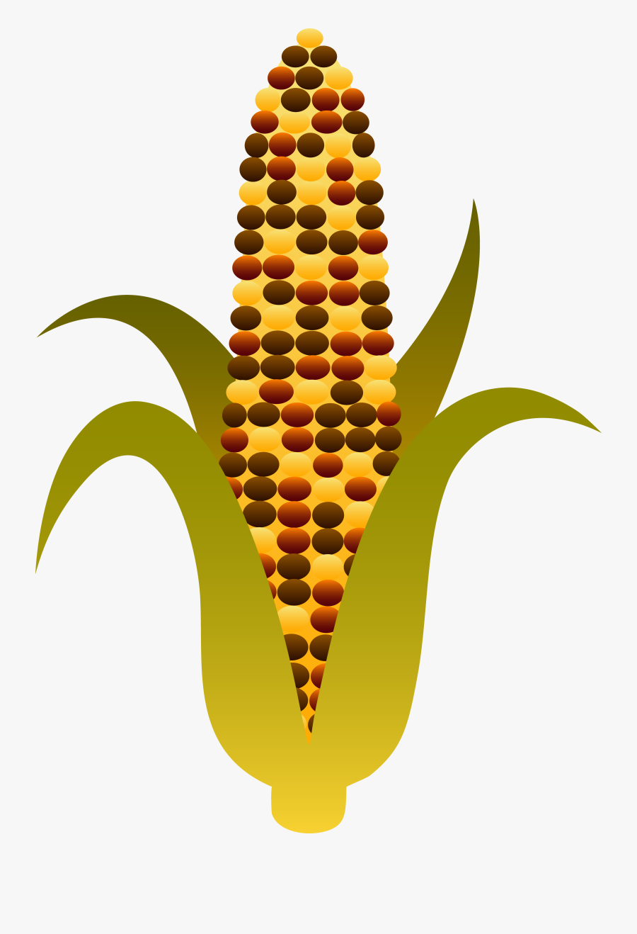 Thanksgiving Clipart Corn - Clipart Indian Corn, Transparent Clipart