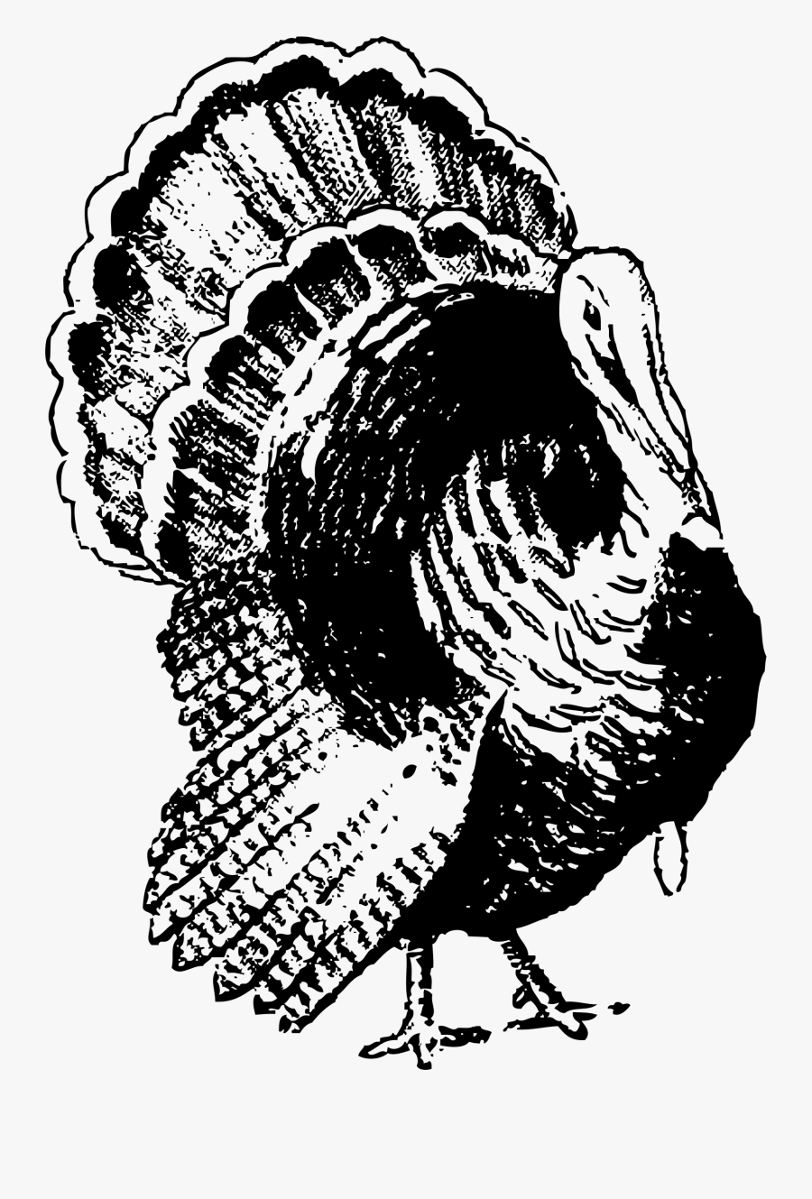 Free Turkey - Free Clipart Images Black And White Turkey, Transparent Clipart