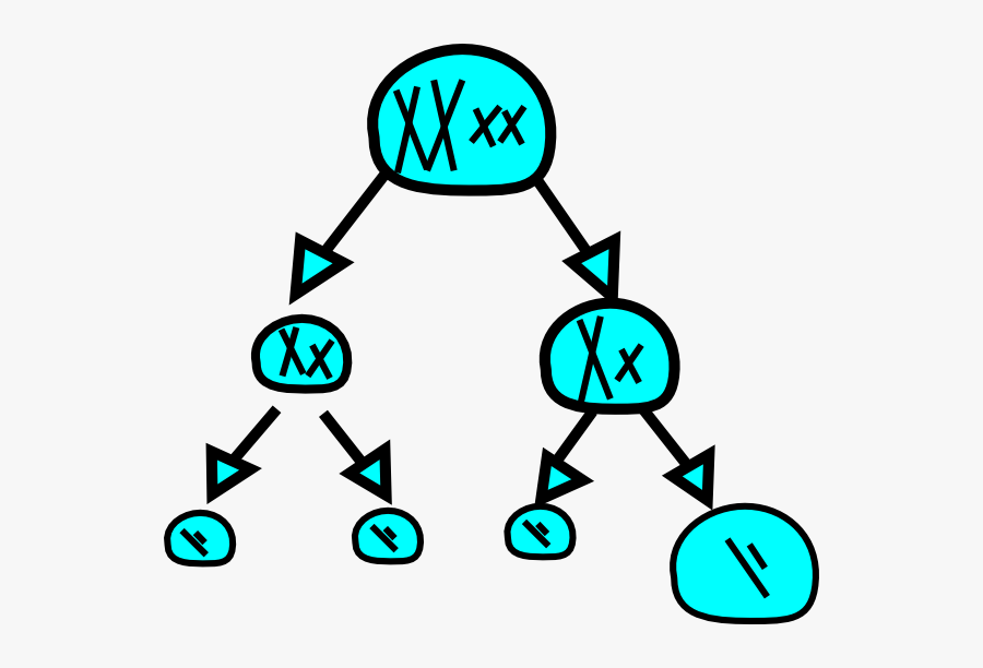 Meiosis Clipart, Transparent Clipart