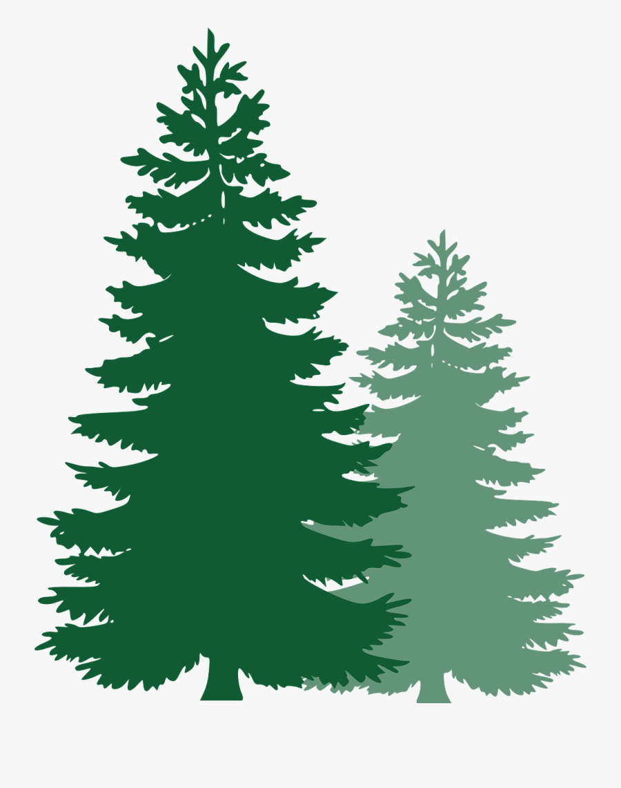 Thumb Image - Pine Tree Vector Png, Transparent Clipart