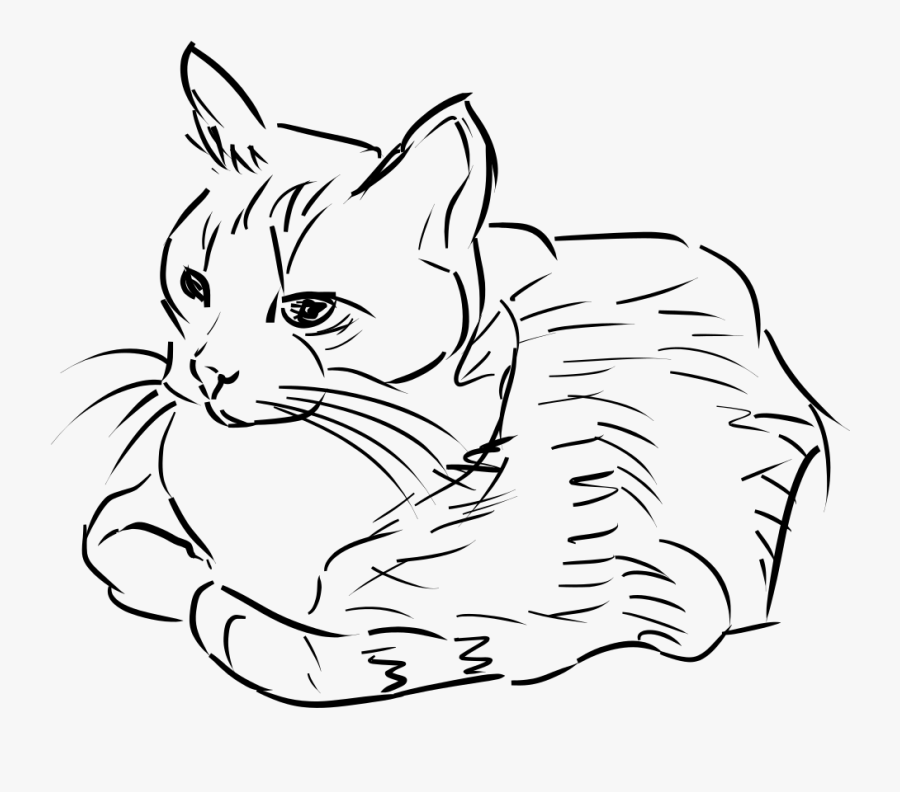 28 Collection Of Free Cat Clipart Black And White - Drawing Of Cat Png, Transparent Clipart