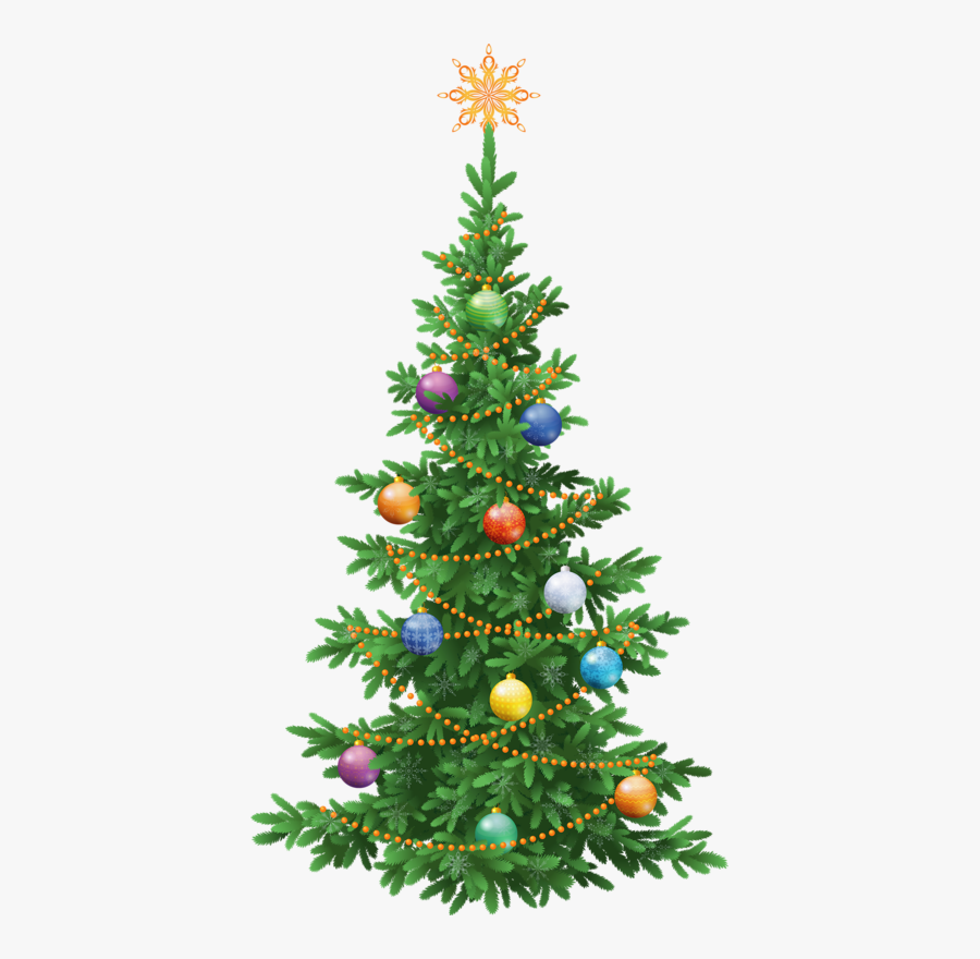 Kids Camp, Transparent Clipart