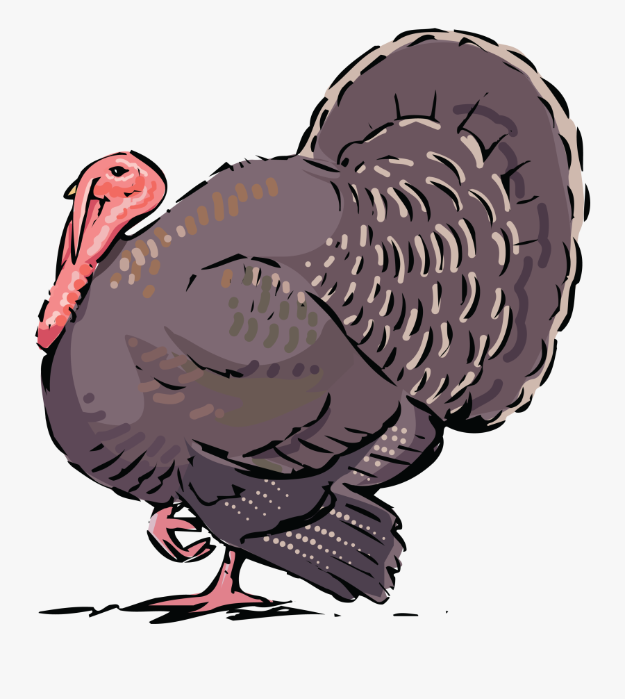 Turkey Clipart Etsy - Birds Turkey Wild Clipart, Transparent Clipart