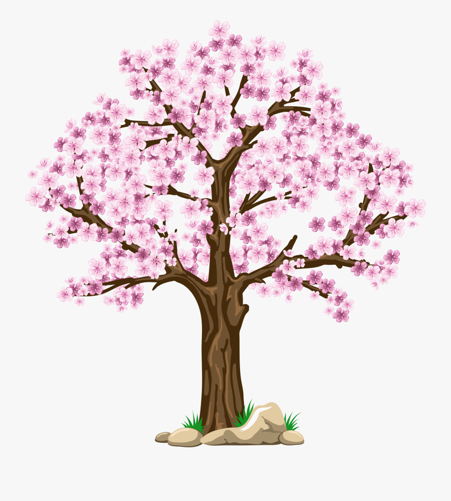 Transparent Tree Clipart Png - Cherry Blossom Tree Clipart, Transparent Clipart