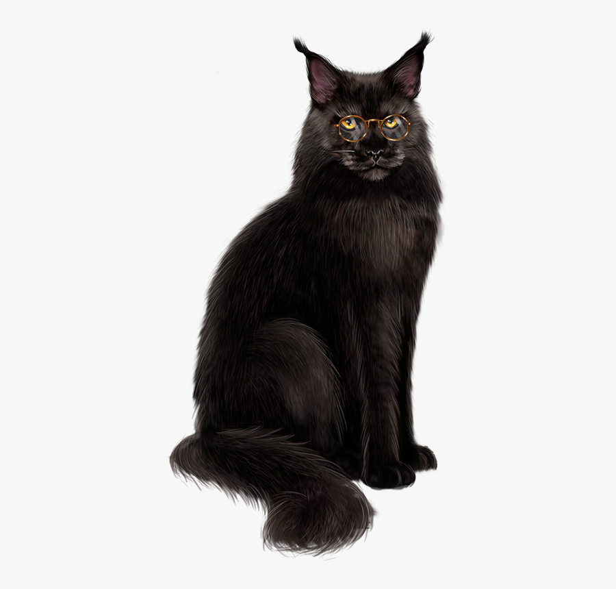 Black Cat, Transparent Clipart