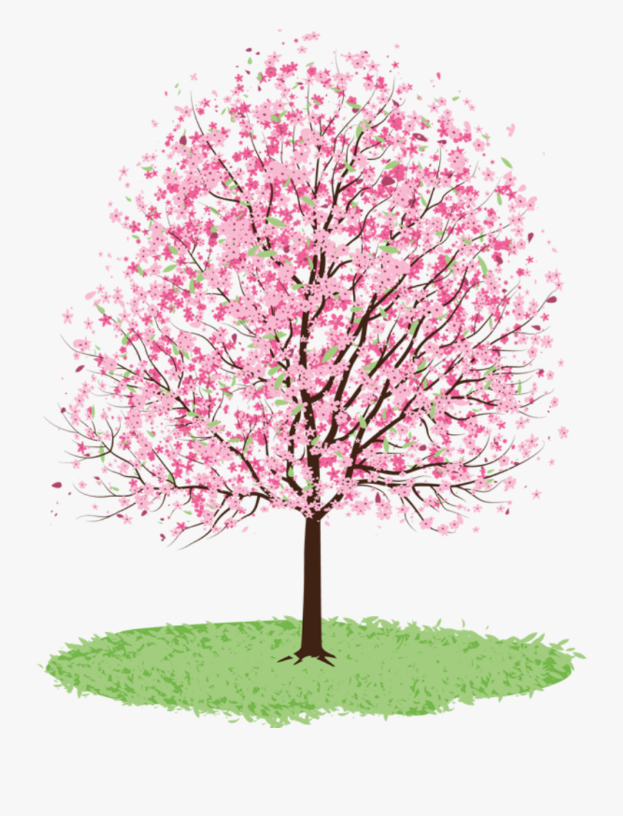 Free Cliparts Download Clip - Cherry Blossom Trees Transparent, Transparent Clipart