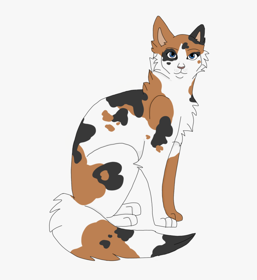 Transparent Snowshoe Clipart - Calico Warrior Cat Drawing, Transparent Clipart