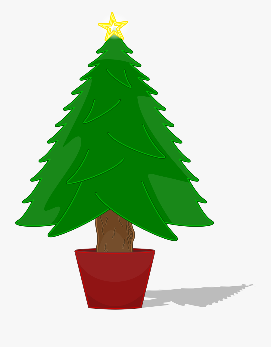 Fir Tree Clipart Tree Shadow - Christmas Tree Not Decorated, Transparent Clipart