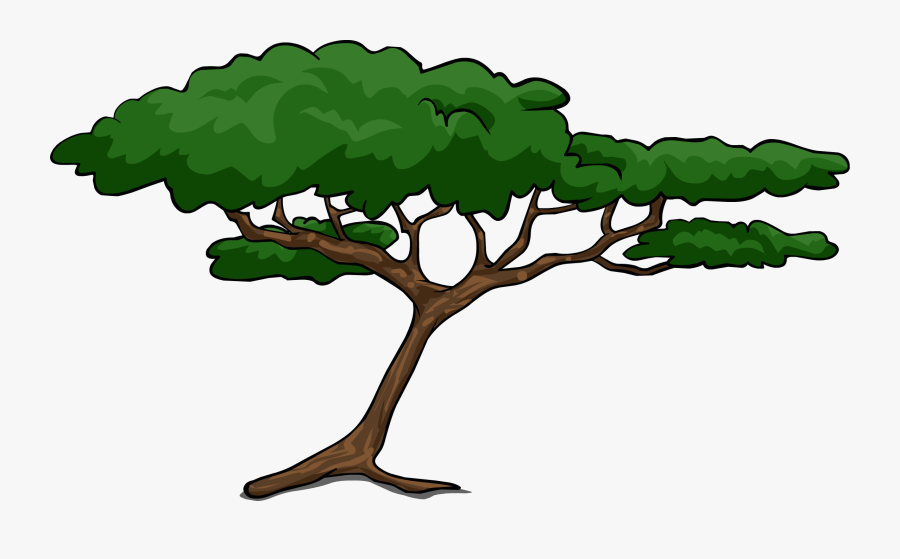 28 Collection Of Acacia Clipart - African Safari Tree Silhouette, Transparent Clipart