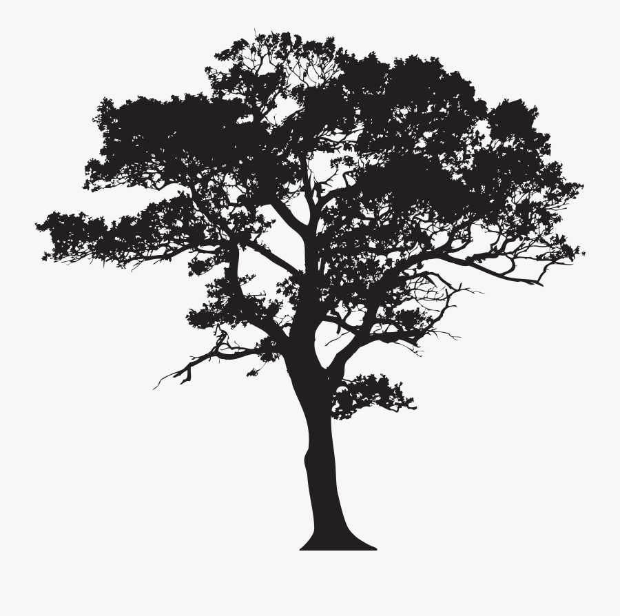 Oak Africa Tree Clipart Black And White - Black And White Tree Png, Transparent Clipart