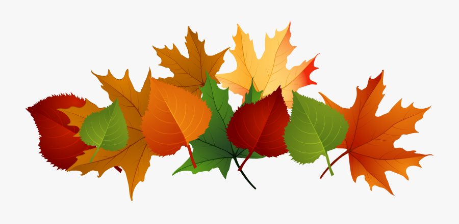 Fall Leaves Fall Clip Art Autumn Clip Art Leaves Clip - Fall Leaves No Background, Transparent Clipart