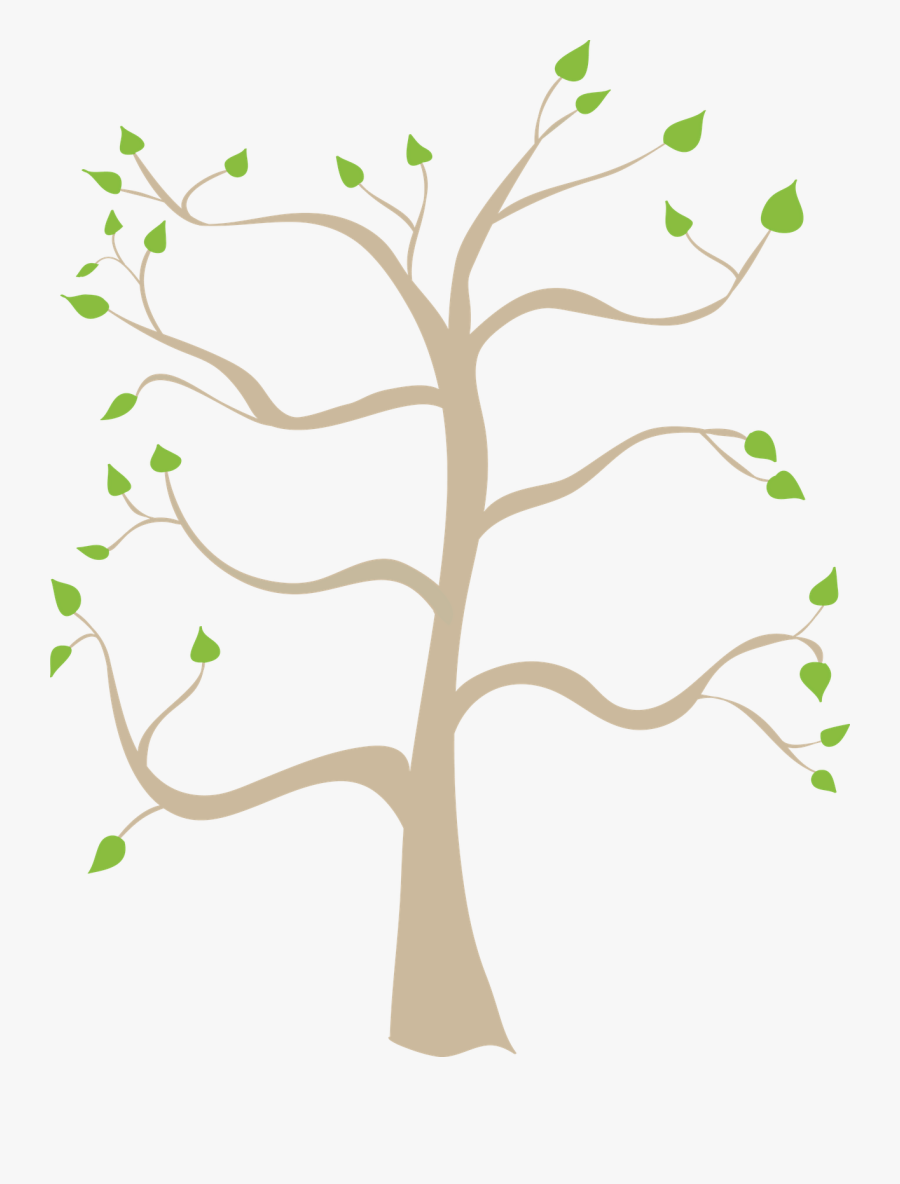 Us Military Branches Tree, Transparent Clipart
