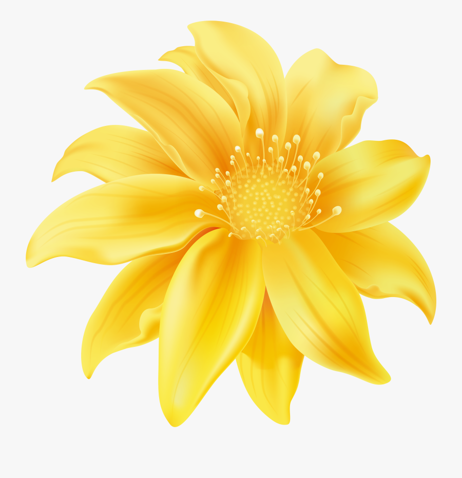 Yellow Flower Png Clip Art - Minhas Fotos Da Galeria, Transparent Clipart