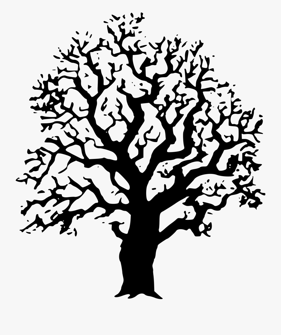 Oaktree Clipart Tree Clipart Black And White - Black And White Tree Drawn, Transparent Clipart