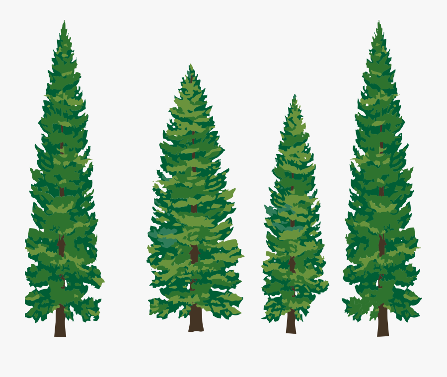 Clip Art - Pine Trees Clipart Png, Transparent Clipart