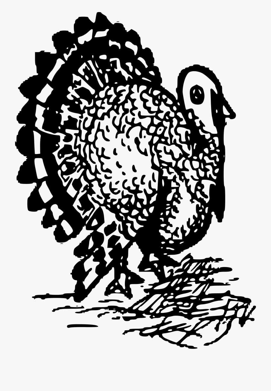 Turkey Clipart Whiteboard - Illustration, Transparent Clipart