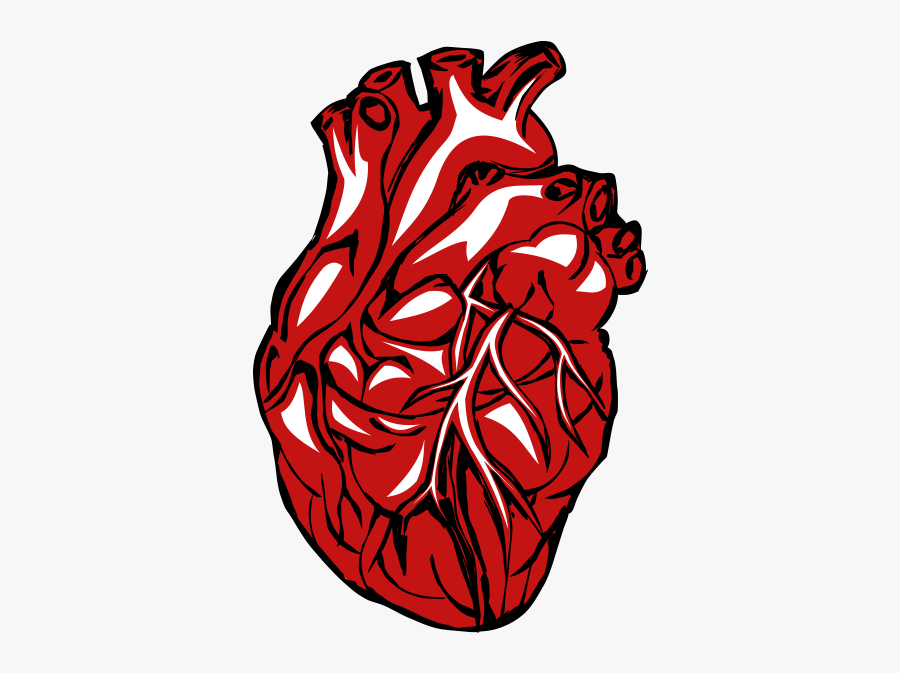 Real Heart Png Clipart - Transparent Background Real Heart Clipart, Transparent Clipart