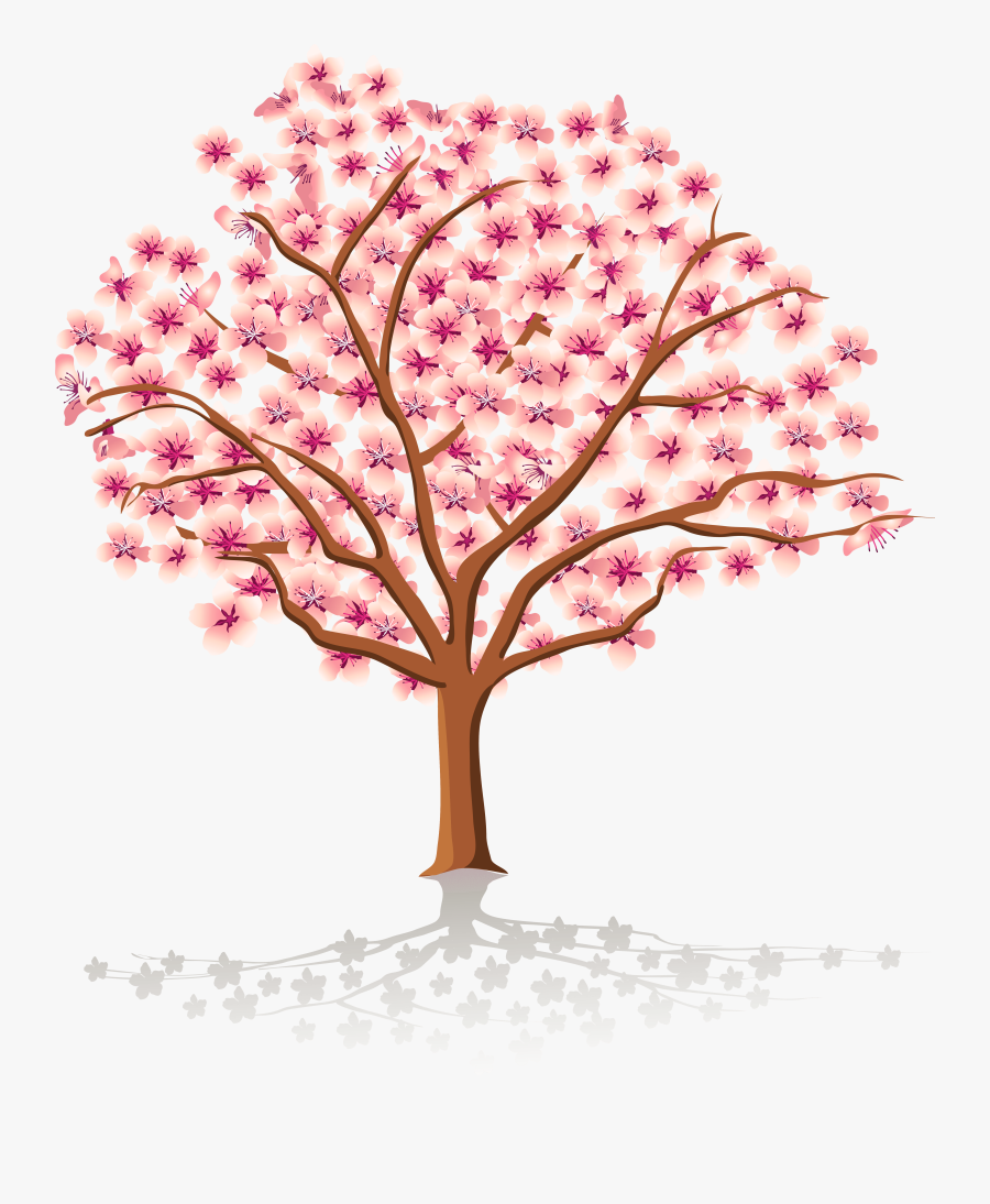 Cherry Tree Stock Images, Royalty Free Images Vectors - Apple Blossom Tree Cartoon, Transparent Clipart