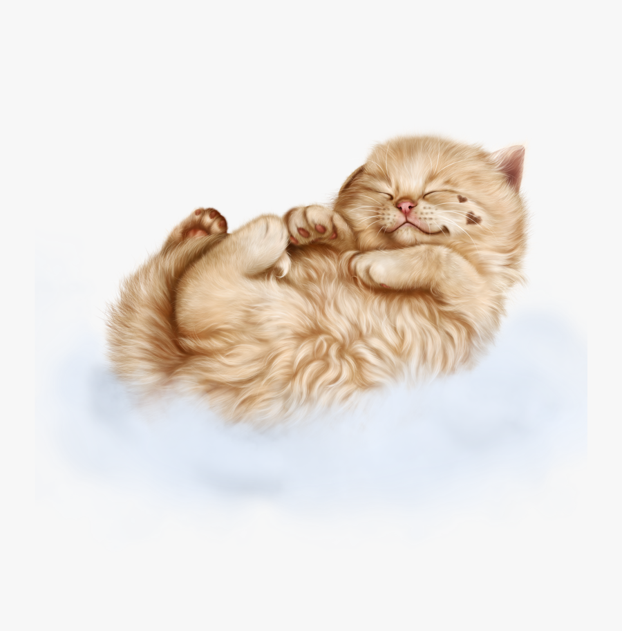 Transparent Cats Clipart Png - Sleeping Kitten Transparent, Transparent Clipart