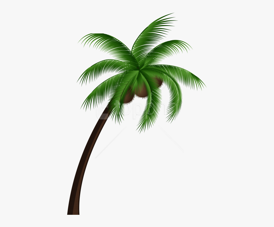 Palm Tree Clipart High Resolution, Transparent Clipart