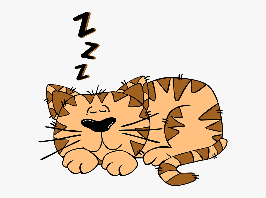 Free Cartoon Cat Images - Cat Sleeping Clipart, Transparent Clipart