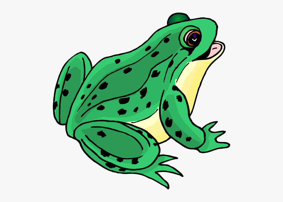 Clip Art Picture Of A Frog - Clipart Picture Of A Frog, Transparent Clipart