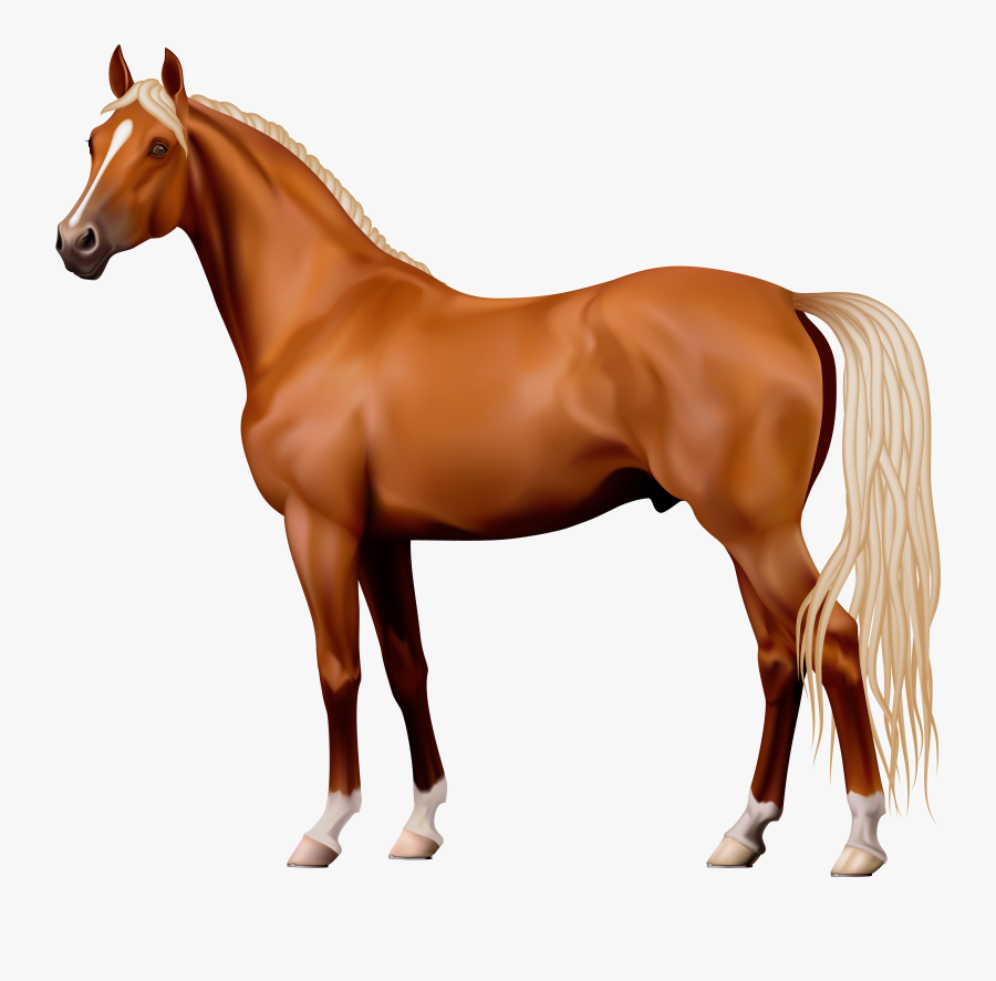 Brown Horse Png Clipart - Horse Png, Transparent Clipart