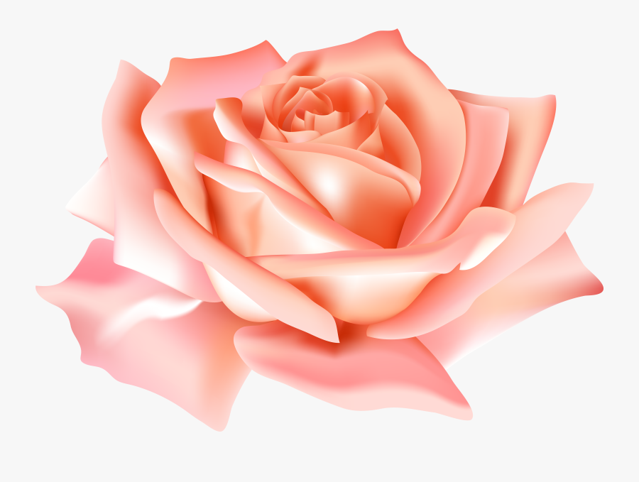 Peach Flower Clipart Mexican Flower - Transparent Background Blue Rose Png, Transparent Clipart