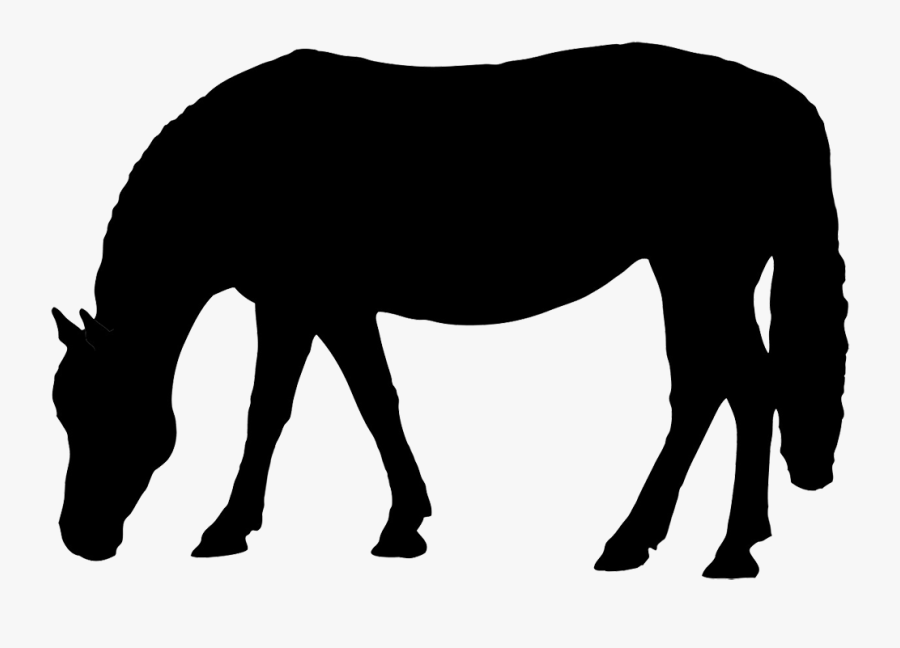 Horse Grazing Clip Art - Horse Eating Clipart Black And White, Transparent Clipart