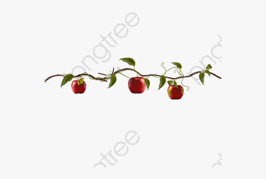 Apple Tree Clipart Fruit - Rose Hip, Transparent Clipart