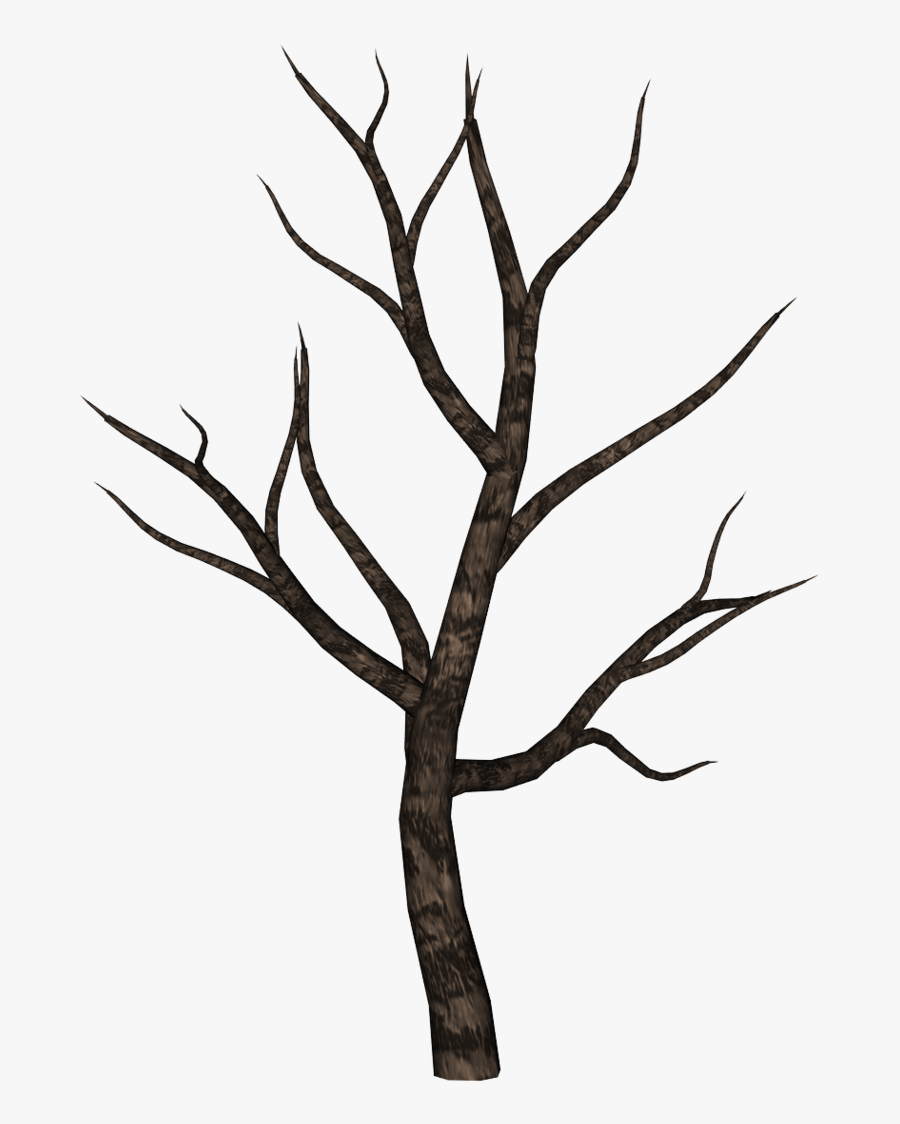 Spooky Tree Clipart - Easy Dead Tree Drawing, Transparent Clipart