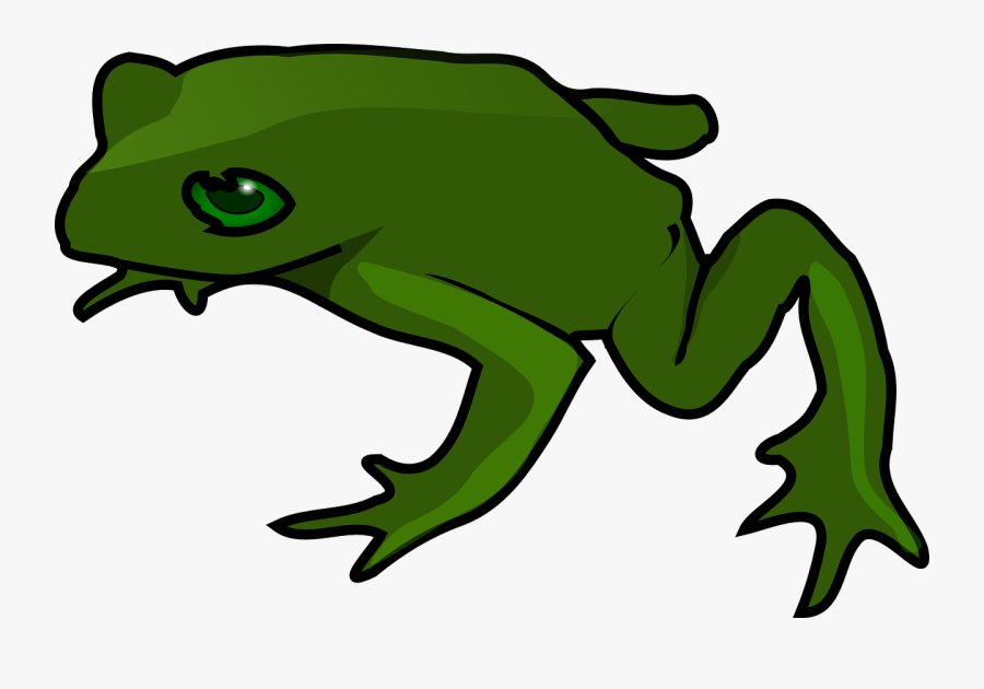 Free To Use Images - Cartoon Frog Transparent Background, Transparent Clipart