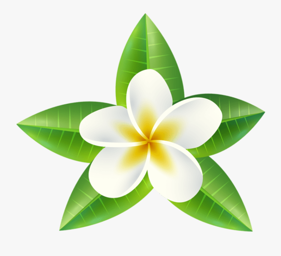 Green Flower Clipart - Transparent Background Tropical Flowers Clipart, Transparent Clipart