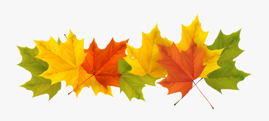 Fall Clipart Clear Background - Transparent Fall Leaves Border, Transparent Clipart