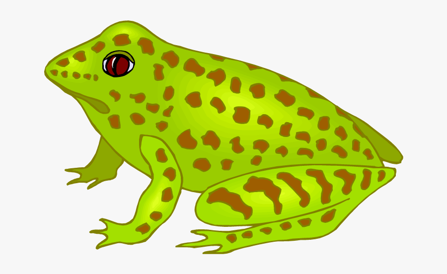 Free Frog Clipart - Glass Frog Clip Art, Transparent Clipart