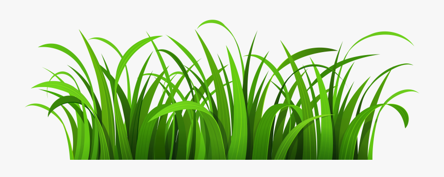 Green Grass Border Clipart Free Clipart Images - Transparent Background Grass Clipart, Transparent Clipart