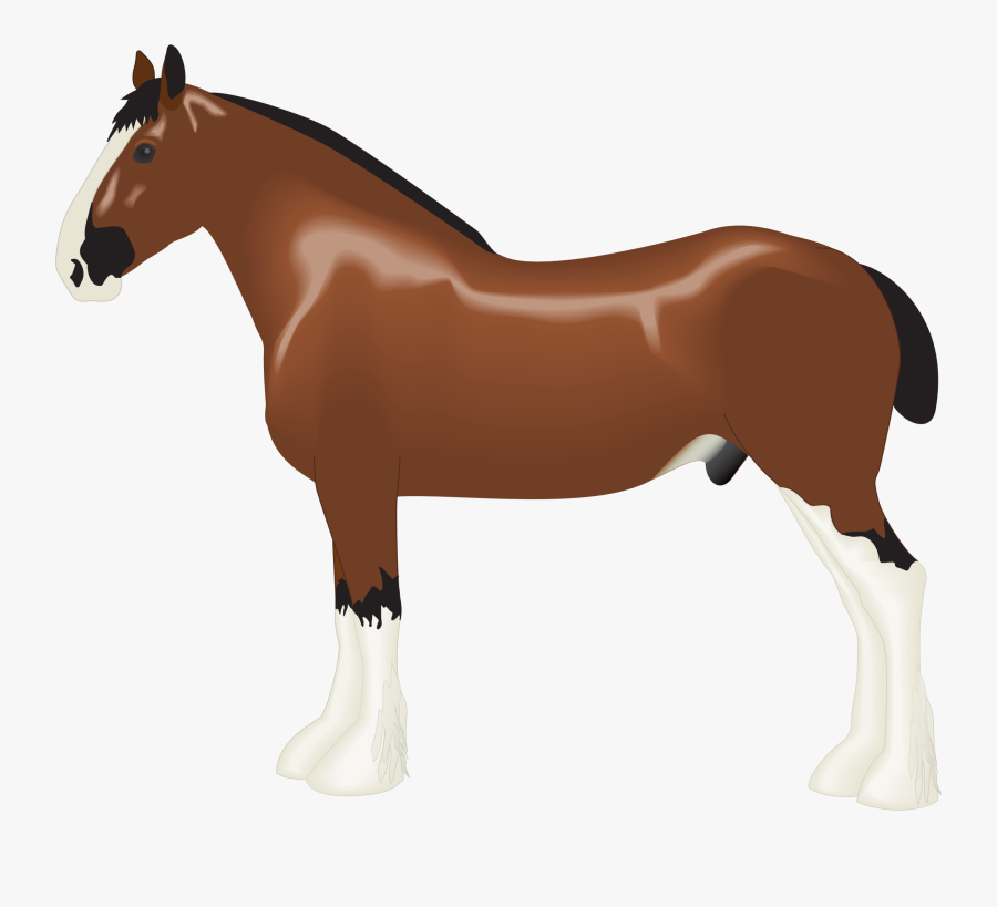 Clipart - Clydesdale Horse Clipart, Transparent Clipart